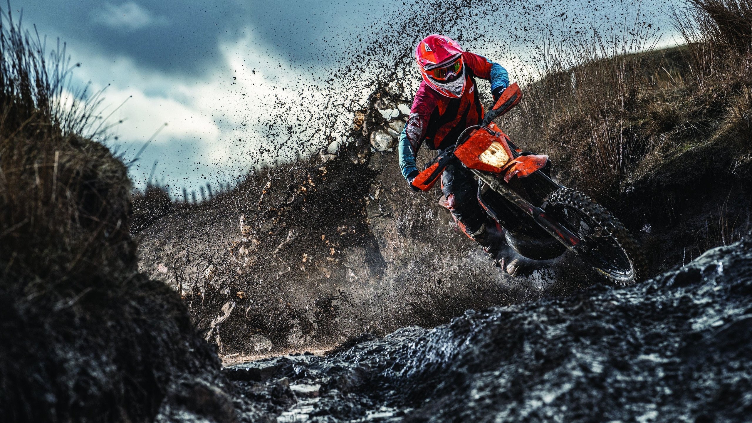 教科书般的掌控力，英格拉姆高效发挥引领篮网轻取浙江队